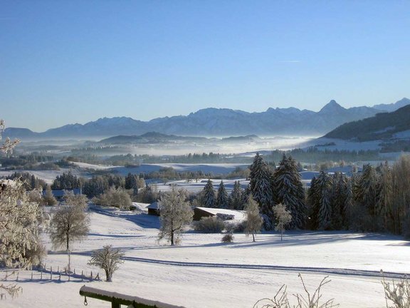 Winterimpressionen Oy-Mittelberg